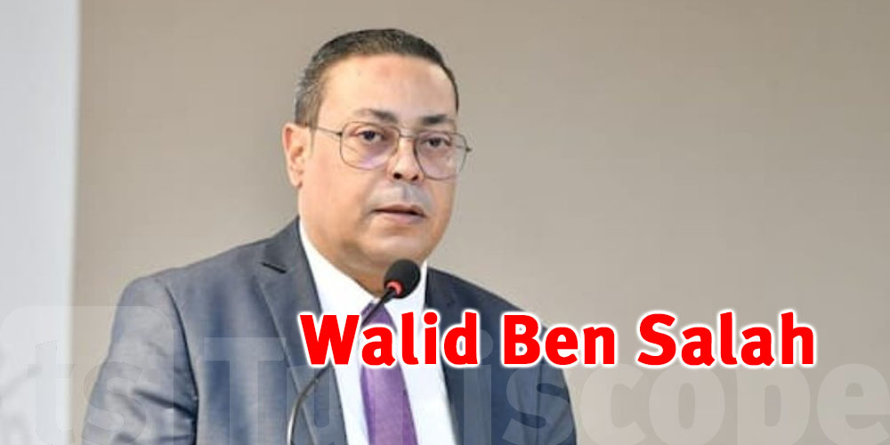 Walid Ben Salah prend la tête de la Fédération panafricaine des experts-comptables